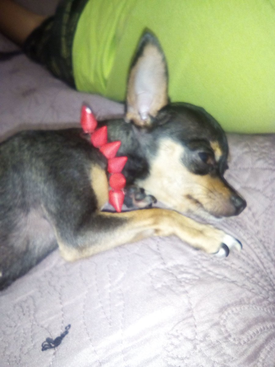 Dylan34830391's tweet photo. #CUÑA https://t.co/elBlAqphsR