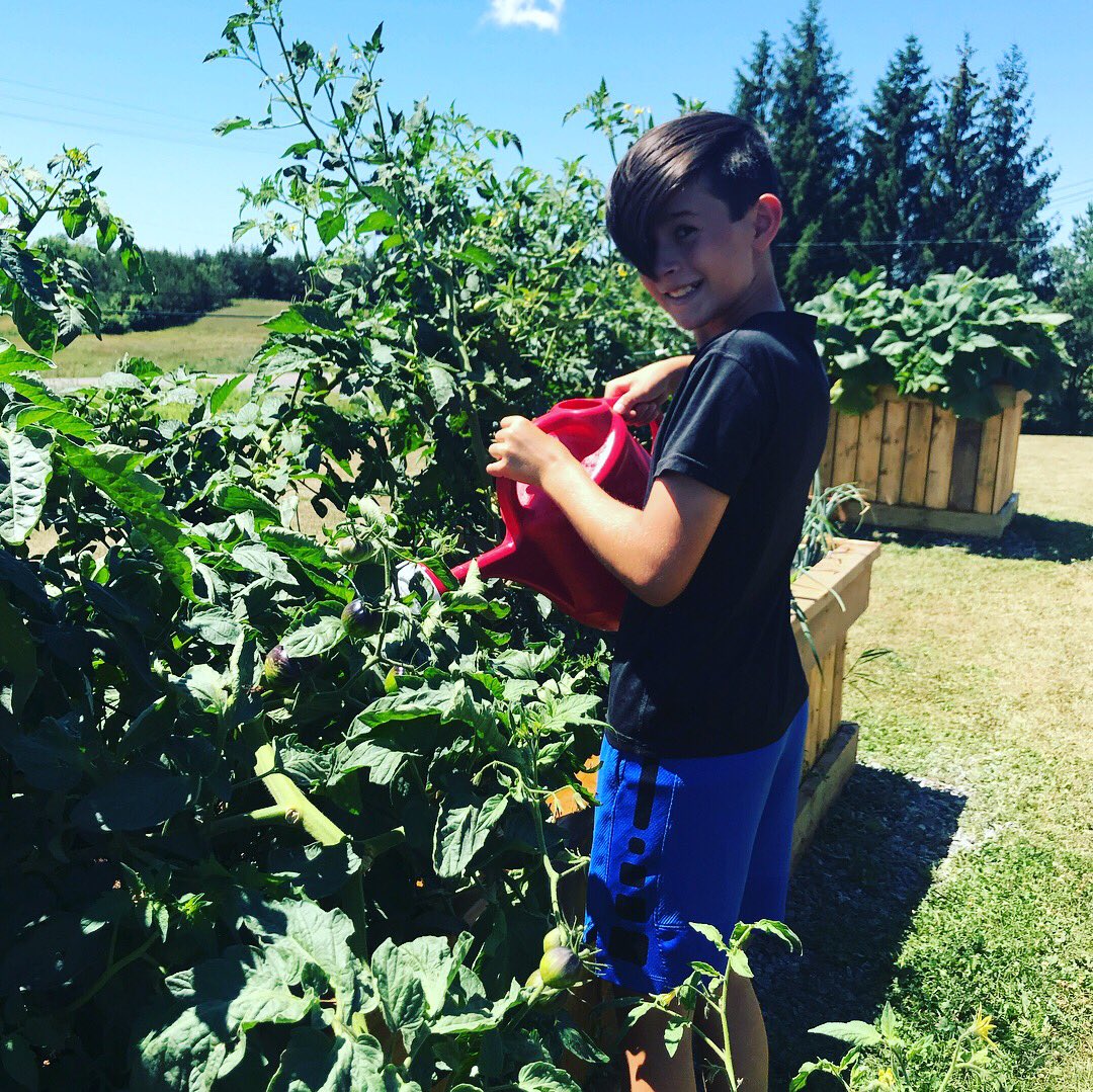 countykid36's tweet photo. Garden at Kente is looking great! @Kente_PS https://t.co/wXmj6SuppS