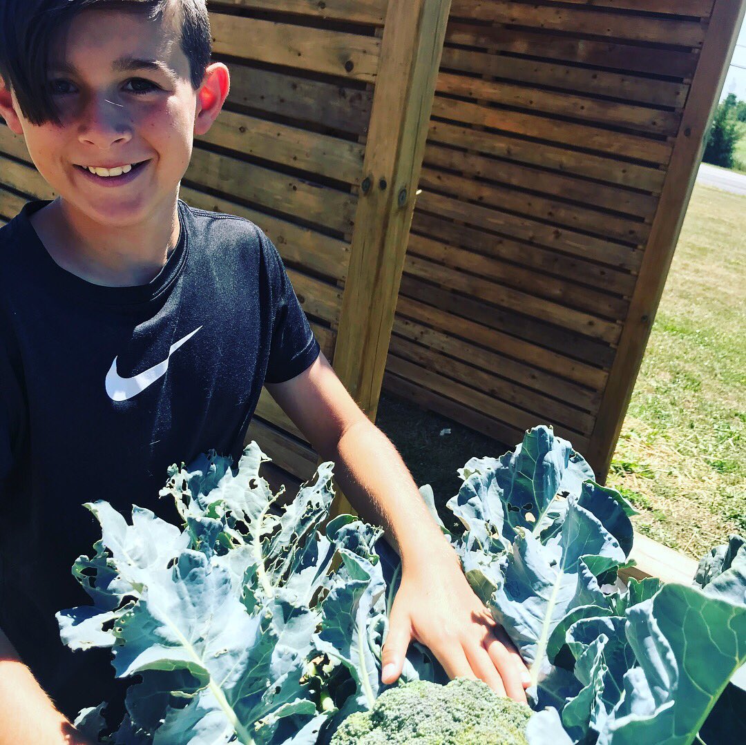 countykid36's tweet photo. Garden at Kente is looking great! @Kente_PS https://t.co/wXmj6SuppS