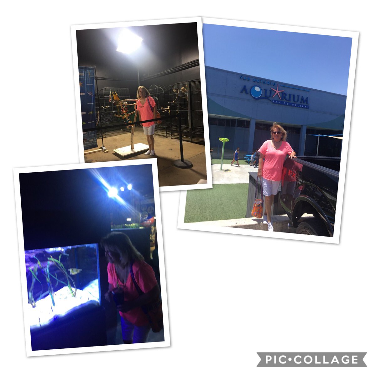 Shawnnie5's tweet photo. San Antonio Aquarium + free admission = staycation!  #wetmoresummerfun https://t.co/zMoLJrbaeA