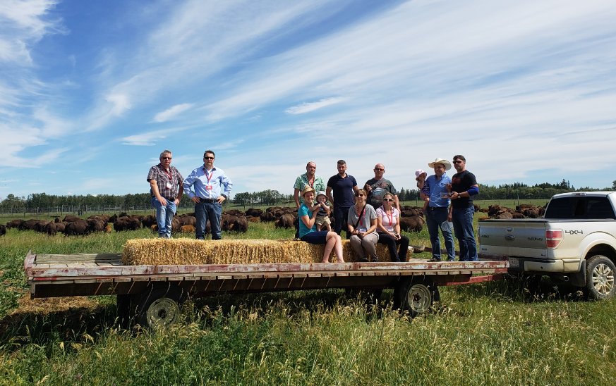 ChampionPetfood's tweet photo. It’s important that our Trusted Partners are educated on the Fresh Regional Ingredients we feature in our foods. These are our Distributor Partners from Germany at the bison farm of our long-time suppliers, Roger and Kate, of Rangeland Bison in Alberta, Canada. #ORIJEN #ACANA https://t.co/JpGdWJa3AB