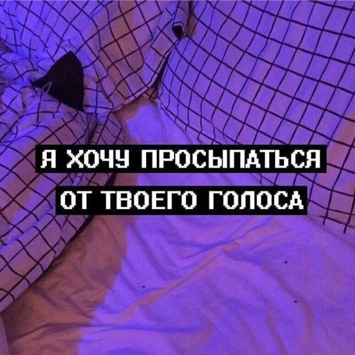 Сохры с надписями