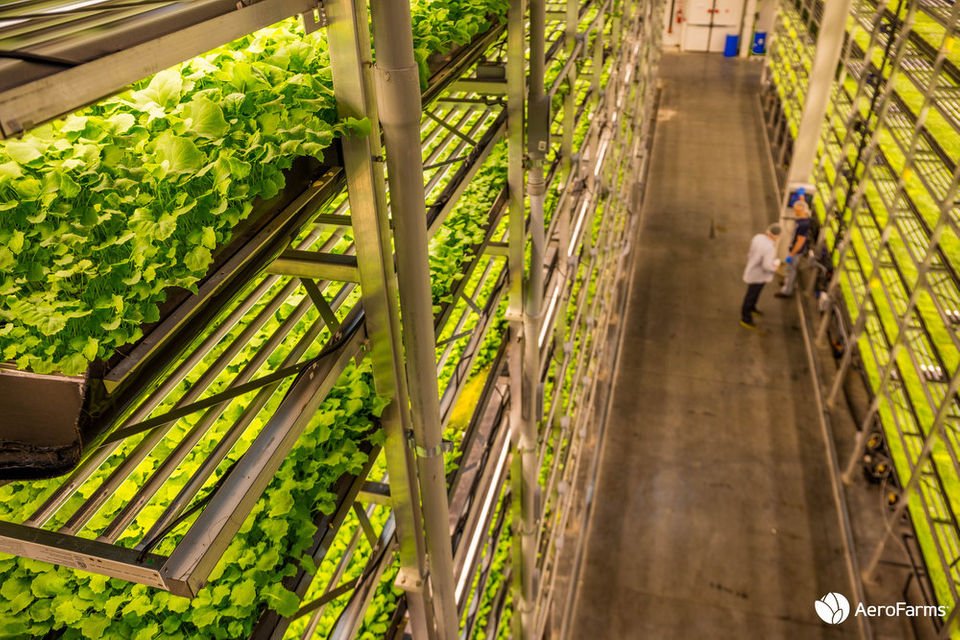 Two companies taking a vertical leap in Newark nj.com/inside-jersey/… #urbanfarm