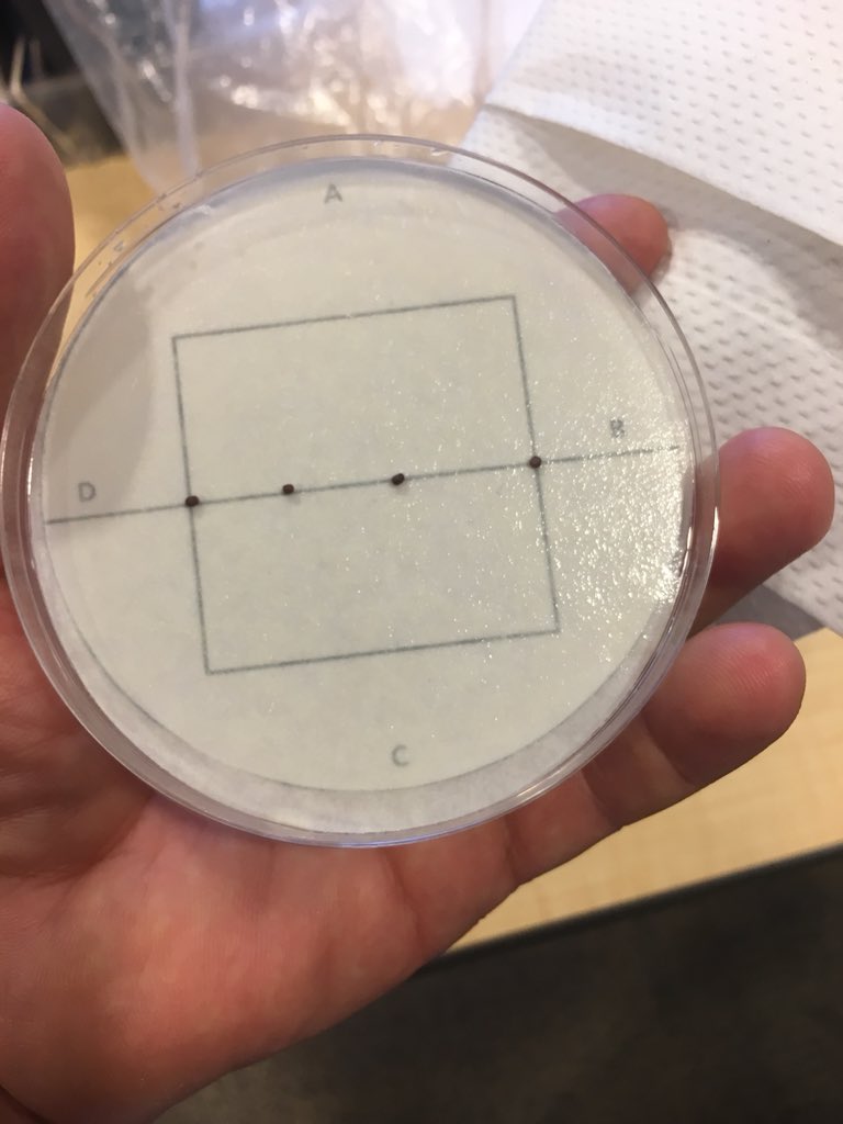 Tad Droste tweet media