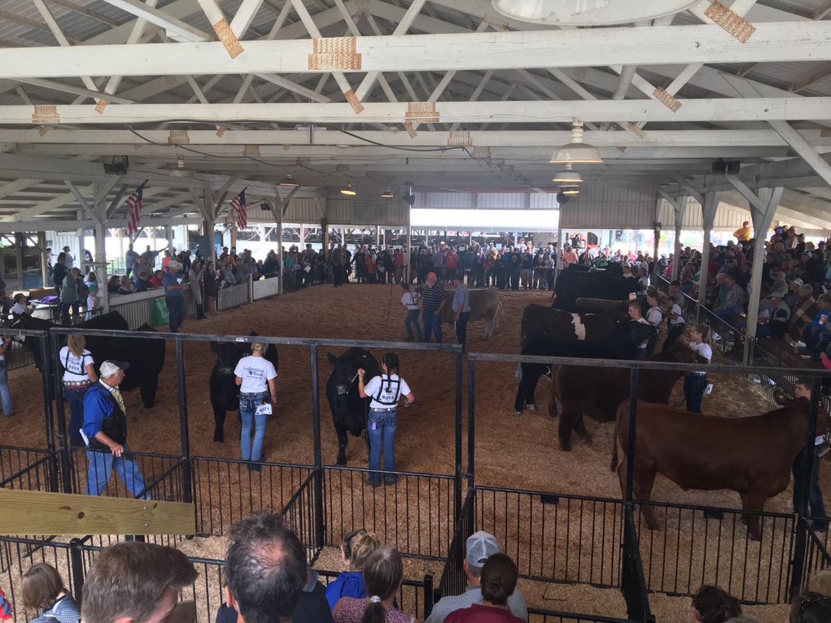FCA_VisionAg's tweet photo. Championship Drive at the Washington County Fair today. All participants should be proud of their hardwork. Job well done! @4hwashco https://t.co/puhTtyOrv4