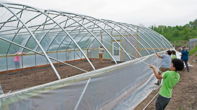 Grand opening for greenhouse in St. Paul, MN's growing Railroad Island neighborhood twincities.com/2018/07/16/gra…