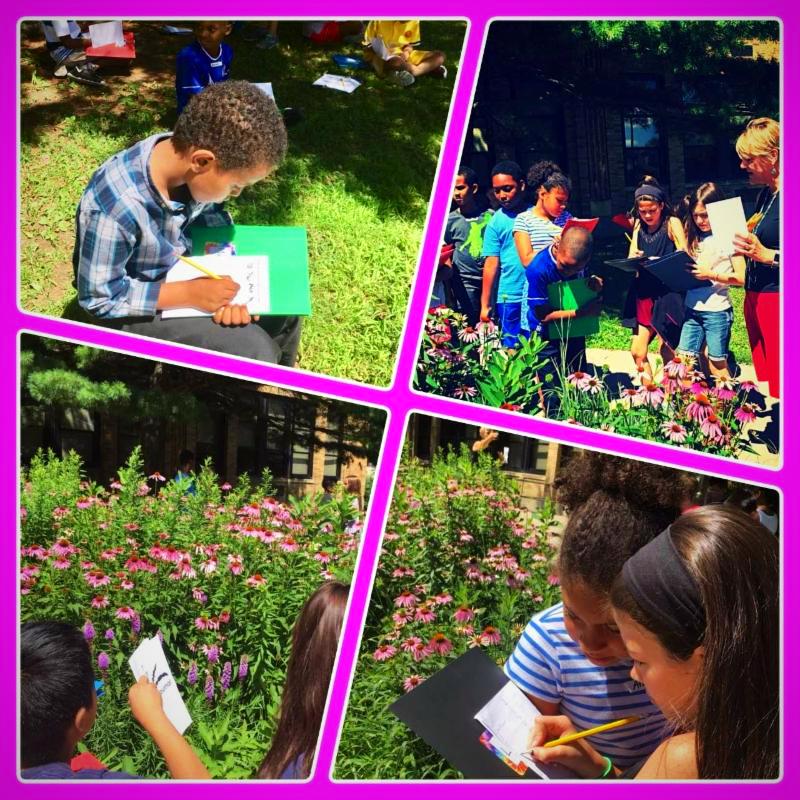 SPPS_News's tweet image. #POTD: Students at #ChelseaHeights Elementary School explore nature in the school garden and learn about #pollination, monarch #butterflies and nectar during #SummerTerm Session 2.