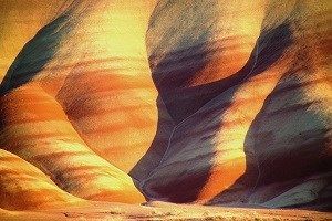 Michiko Martin tweet media