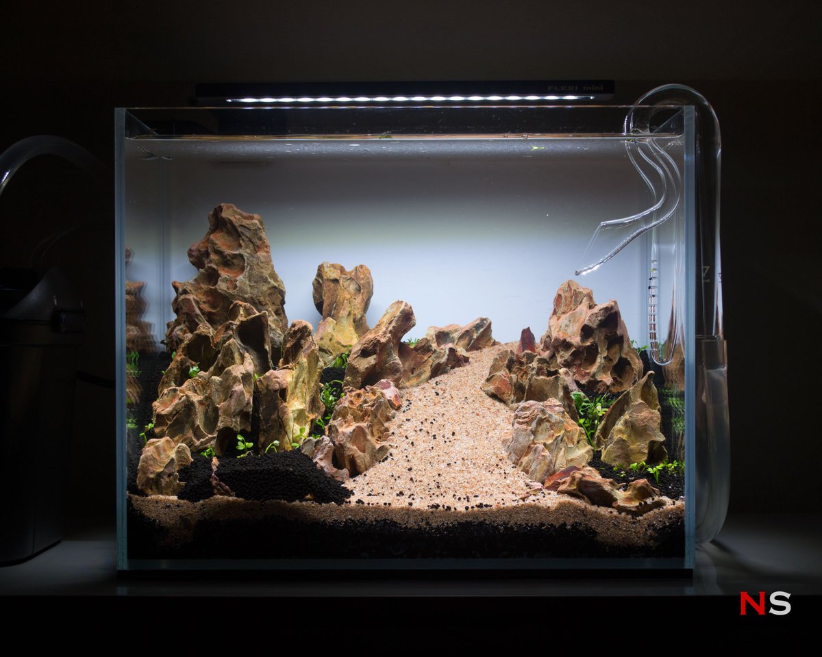 NanoScaper's tweet photo. Do you see the mountains and the valley in this nano Diorama aquascape? | 12L Nano Diorama Aquascape "Dragon Valley" - Setup #diorama #aquascape https://t.co/9yJrfmP4l9 https://t.co/cwgbZRBTQe