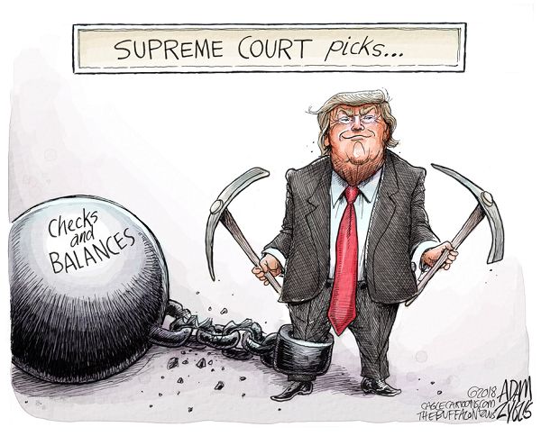 TomthunkitsMind's tweet photo. Trying To Save Himself. https://t.co/kZfyKyPOk2