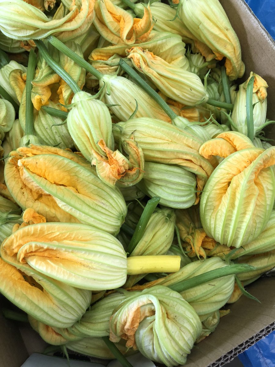 Lowe’s Farm Shop Twitter