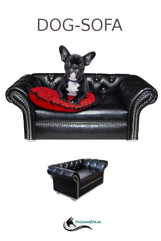 Designer #Dogbed - Deutsche Herstellung
 ➡️ preiswolf24.de/produkt-katego…
#Preiswolf24 #hundeblick #freitagfluff #fluffderwoche #hundeleben #delight_pets #funpetloveclub #dogscorner #dogdailyfeaturesss #ilovemydog #lovedogs #lovepuppies   #beggintime #petbox  #mydogiscutest