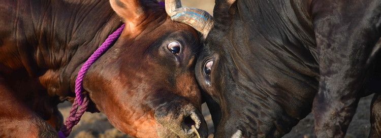A 30% rally in bitcoin in less than a month has bulls eyeing $10,000 and beyond — MarketWatch buff.ly/2NqKo5W