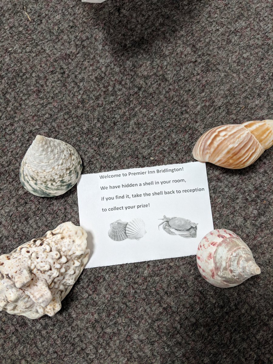 claire_strand's tweet image. Something for the weekend we are bringing Pip back for the kids 
We will hide a sea shell in the rooms the kids bring the shell back to Pip and they will get a prize 💜
@lcj96  @michaelhunter62  @PSeafront  @SDEBDD @AndyFr4ncis  @rubyyoung90  @SusanGilley7