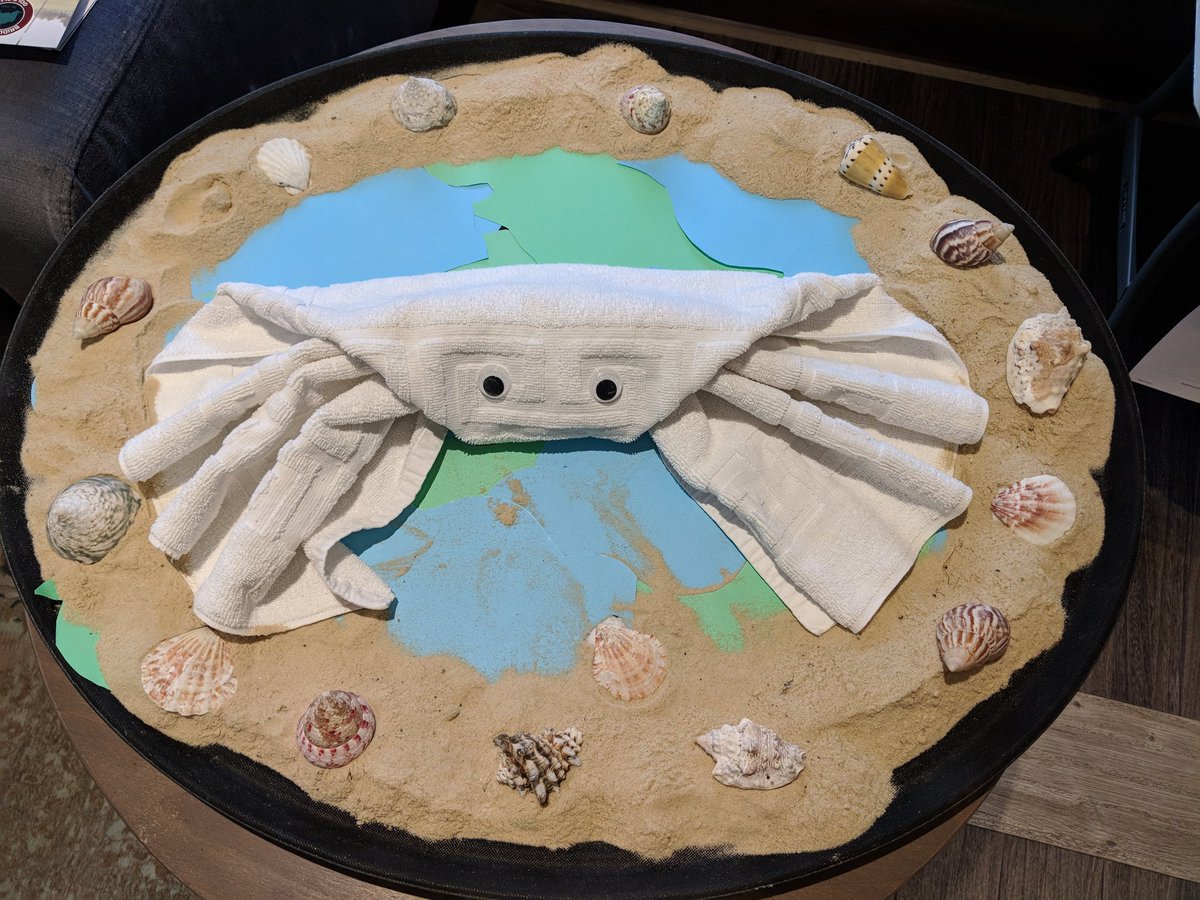 claire_strand's tweet image. Something for the weekend we are bringing Pip back for the kids 
We will hide a sea shell in the rooms the kids bring the shell back to Pip and they will get a prize 💜
@lcj96  @michaelhunter62  @PSeafront  @SDEBDD @AndyFr4ncis  @rubyyoung90  @SusanGilley7