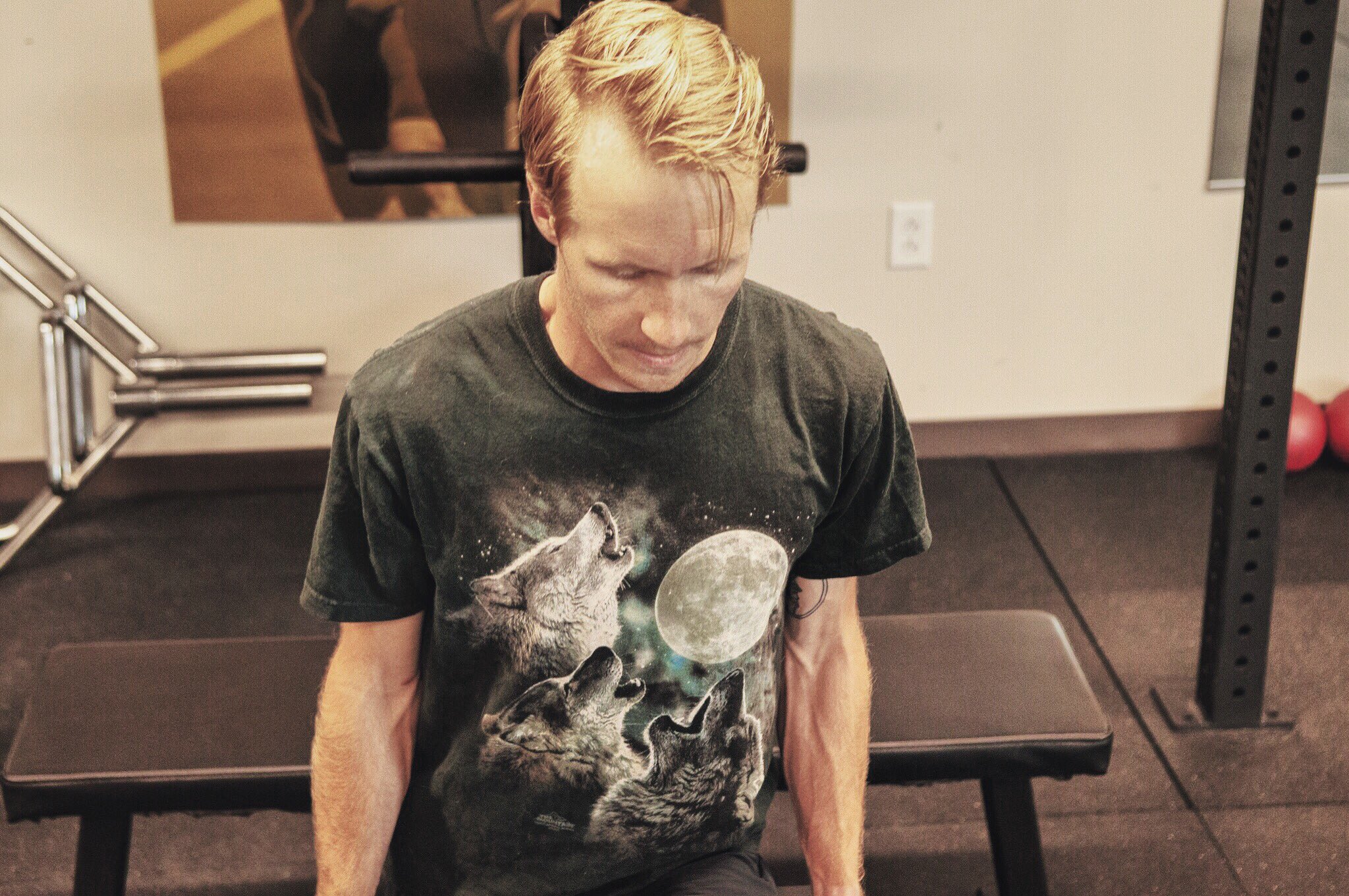 the office dwight wolf shirt