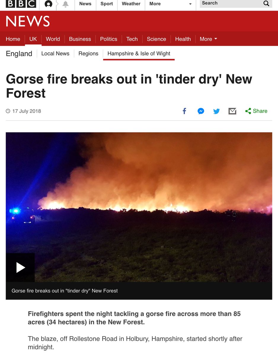 GinaAntczak's tweet image. #Heathfires in the #NewForest
We live v near to this. And stupid people still having garden and allotment bonfires!
