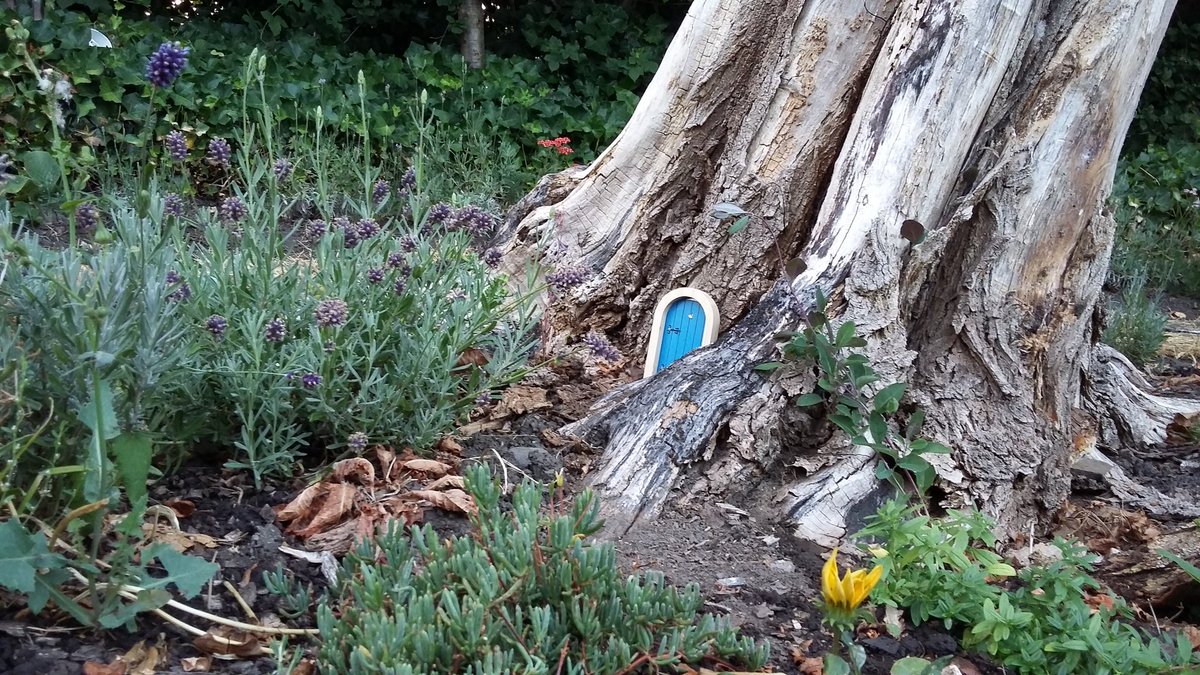 HOWInBloomers's tweet image. When watering tonight noticed a new door!
Welcome, new fairy family.
And thank you to the door installer (s) (identity unknown!).
Our landscaping &amp;amp; community efforts must be making the area appeal as an 'up and coming area'.