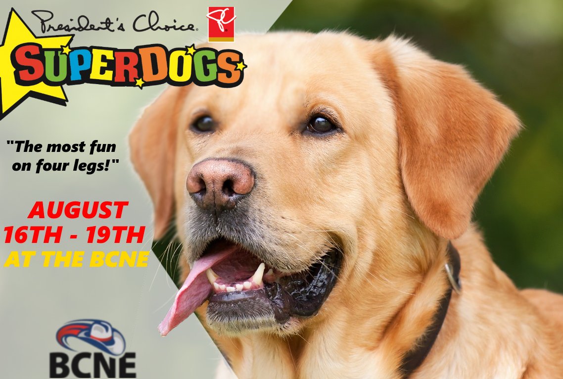 The world-renowned SuperDogs are coming to the BCNE!
🐶
"For the past four decades, the President’s Choice SuperDogs have entertained over 35 million people with some of the most original family-oriented live shows around."
bcne.ca/ticket-sales