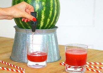 2Shopper's tweet image. With the Watermelon DIY Keg Tap Kit, you’ll have the best drink dispenser for your favorite refreshing drinks! 🍉bit.ly/2v0feMg