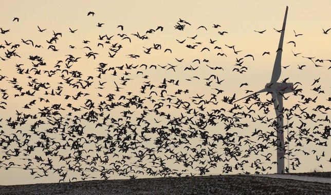 Dr. Donald Allen Deever tweet media