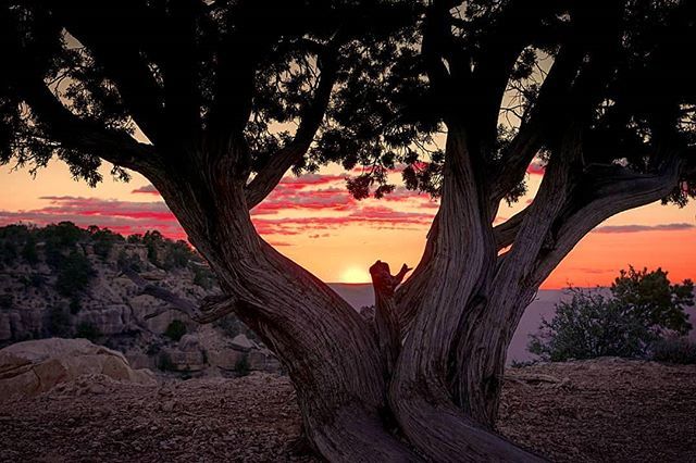 ThomaidisPavlos's tweet photo. Capture the #sunset
#sunsets #sunset_vision #sunset_pics #sunset_stream #sunset_hub #sunset_ig #sunset_lovers #sunset🌅 #sunset_united #sunset_hunter #sunsetcolors #sunset_madness #sunset_captures  #us_vacations #grandcanyon #grandcanyonnationalpark #… https://t.co/gb58MOSRNy https://t.co/ityFMfw7vk