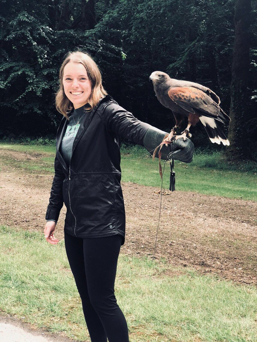 cwitkemper's tweet photo. Day 9: Cong (Ashford Castle) - learned about the wonderful sport of Falconry. We walked Harris Hawks around the ground for an hour. Such an amazing experience with the birds of prey. Check us out @ISU_CGE #STATEabroad #Moretoblue #SPMIreland2018 https://t.co/z2b0wjHOhL