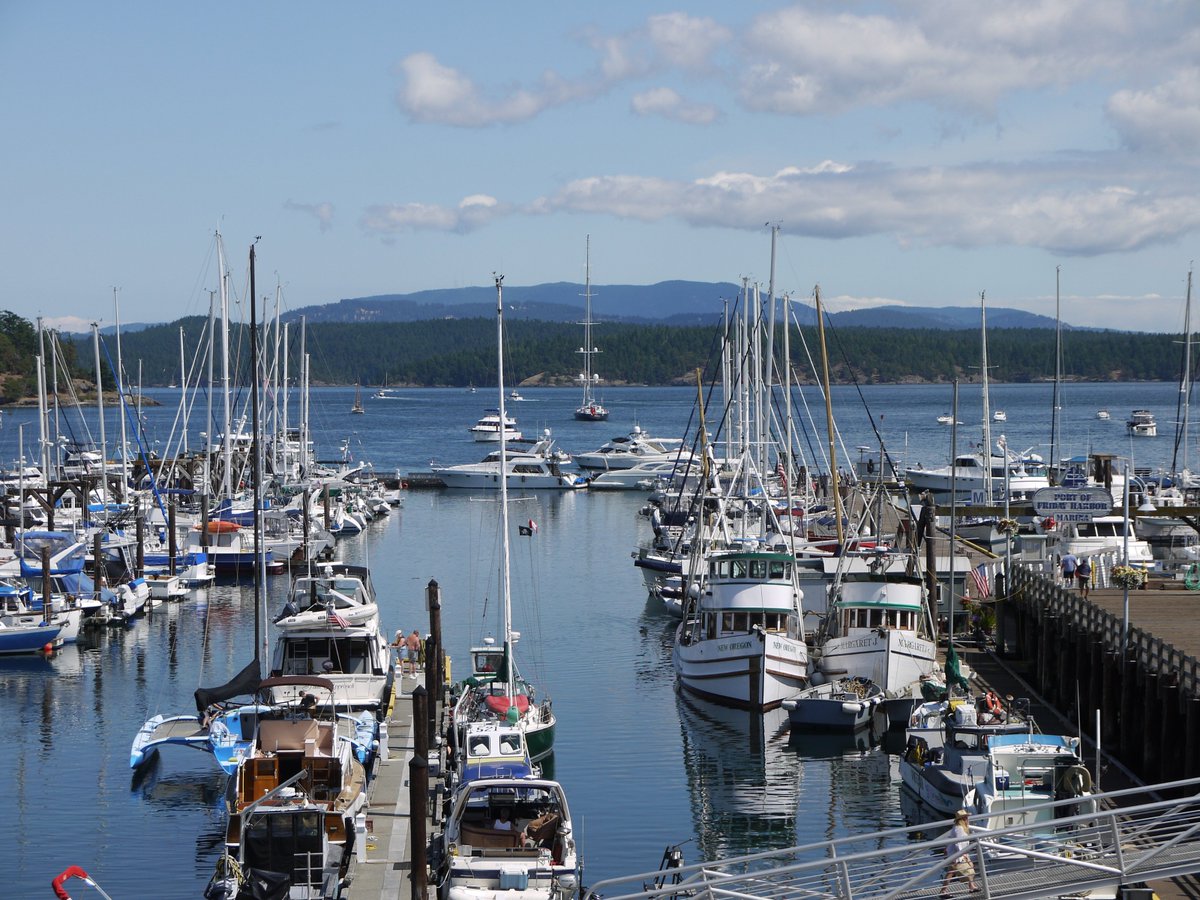 Visit San Juan Islands tweet media