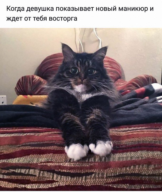 ianrom13's tweet image. 