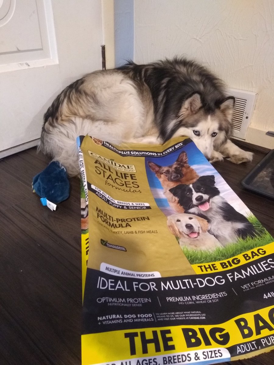 AWalk_Husky's tweet photo. The only thing that makes me sad on @Chewy food delivery day is knowing that @CanidaePetFood packaging is non-recyclable. #noplastic #PlasticFreeJuly https://t.co/u9oZDWQwD2