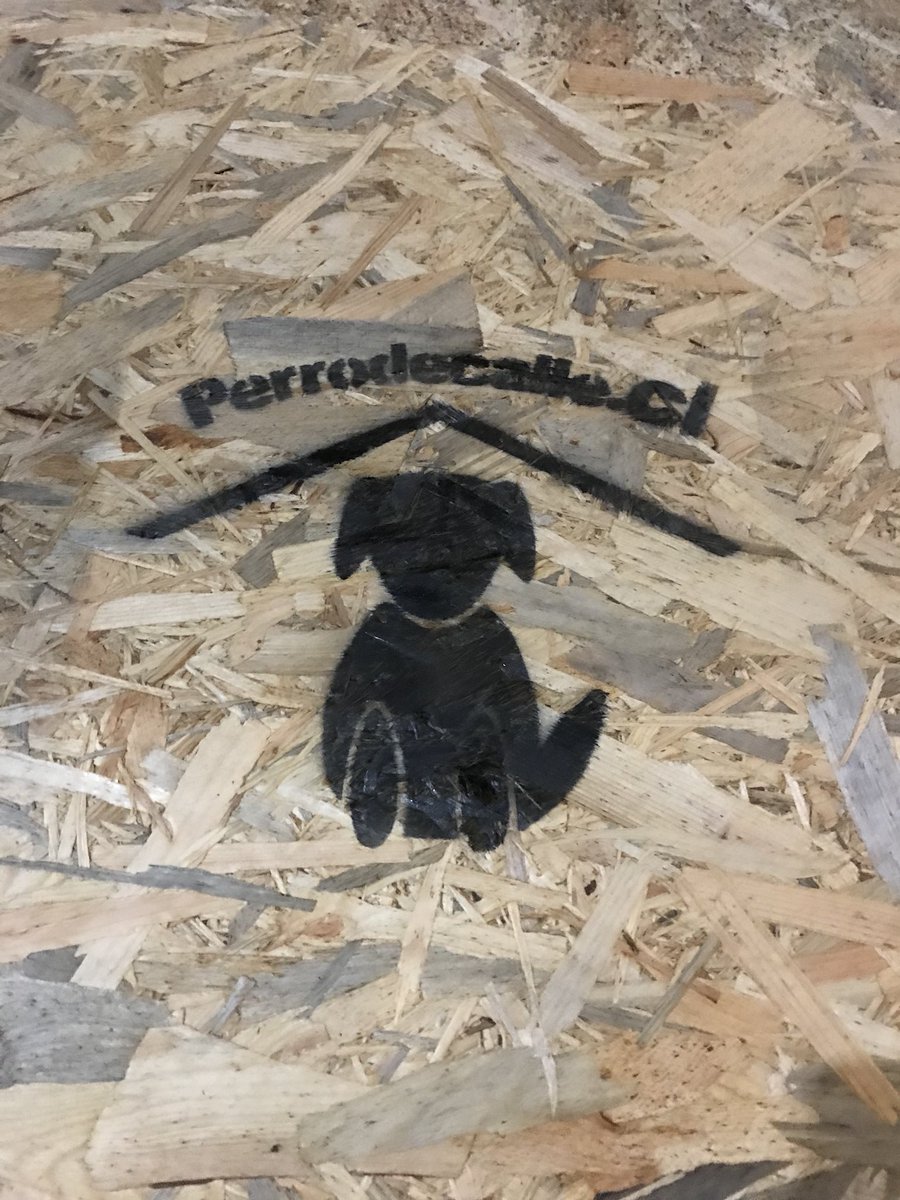 azabache_cris's tweet photo. Lista una nueva casita para proteger a los abandonados , ayúdanos a seguir ayudando ❤️🐶🐕 @PerrosPlazaHuem @pewos @Rebeca2402 @Sitak13 @Terrier_Chileno @Salvandopatit4s @Nibaldo_Meza @aluksicc @Curamapu_ @TonkaTP @Bienvenidos13 @PauliParisR @pezoa90 RT https://t.co/FX83ahaMC1