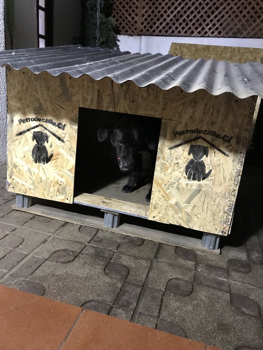azabache_cris's tweet photo. Lista una nueva casita para proteger a los abandonados , ayúdanos a seguir ayudando ❤️🐶🐕 @PerrosPlazaHuem @pewos @Rebeca2402 @Sitak13 @Terrier_Chileno @Salvandopatit4s @Nibaldo_Meza @aluksicc @Curamapu_ @TonkaTP @Bienvenidos13 @PauliParisR @pezoa90 RT https://t.co/FX83ahaMC1
