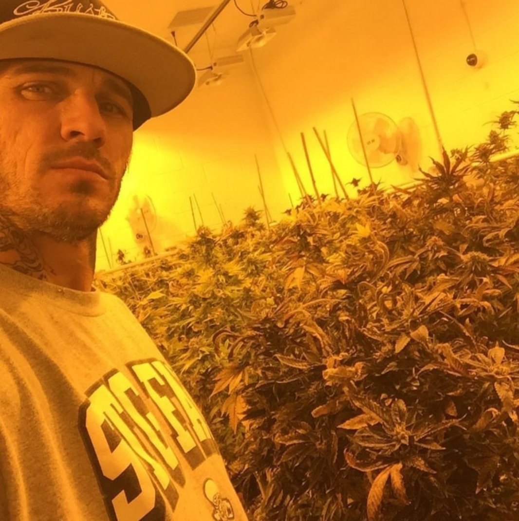 Healthisgold2's tweet photo. Working everyday to have the best weed possible for y'all. Follow @Healthisgold2 #CannabisCommunity #StonerRock #StonerFam #THCvibes #stonerthoughts #weedpics #weedtweets #legalizemarijuana #420friendly #plug #realweed #grower #Legalize #legalizeweed #plantlife #warehouse https://t.co/pF3KnGXtxr