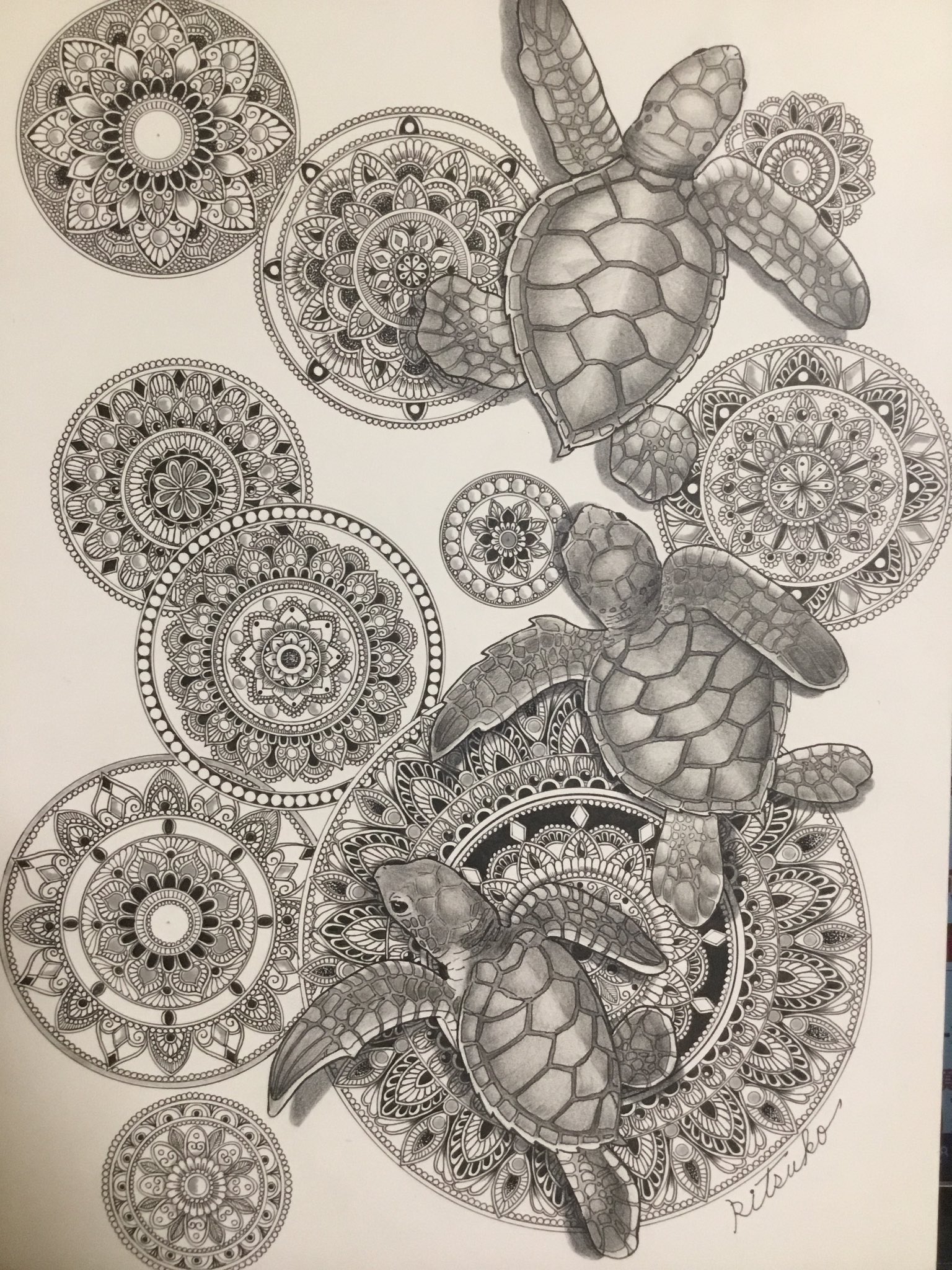 ボールペン画