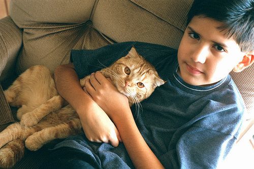 ScottishFoldLuv's tweet photo. Scottish Fold Frenzy - https://t.co/3aex3ibgjG https://t.co/myuvgOGrJB