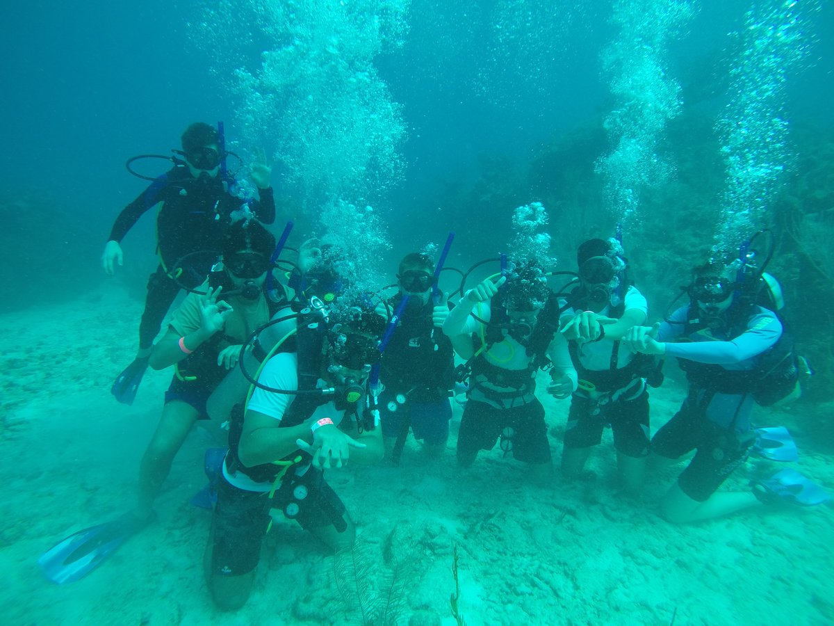 QMGSBiology's tweet photo. Group pic of diving group 5. Also, some fish ID. https://t.co/tiI9nVUE0q