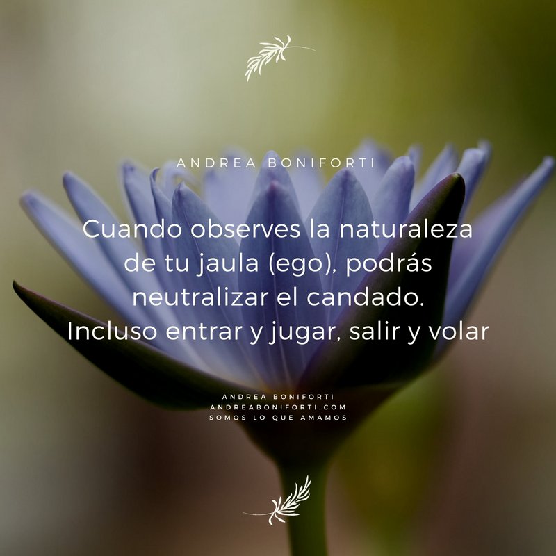 ser_y_amar's tweet photo. Sabrás qué es la libertad cuando tengas conciencia profunda de los muros de tu prisión.
~  Jiddu Krishnamurti https://t.co/vnbvVU1Iiy