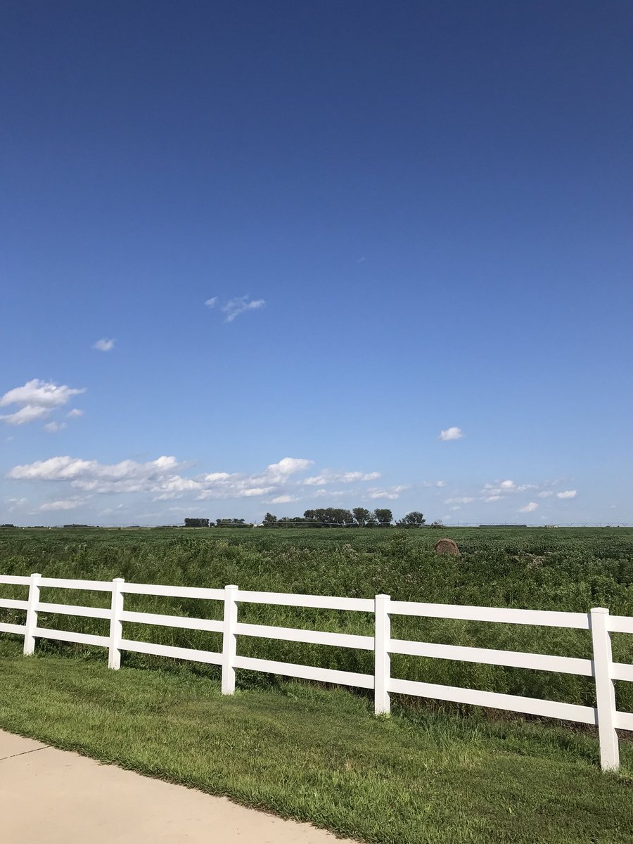 madflax3's tweet photo. @DeBlaz Same #cornfieldsfordays #Iowa https://t.co/rJ0LtvD4IS