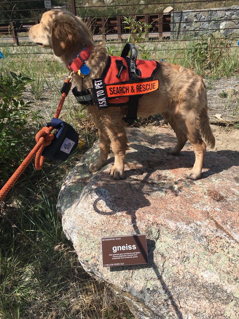 TSark9's tweet photo. @jcos #geologynerd #baddaxjokes. Come explore the geology garden @#bigeasy trailhead in #clearcreekcanyonpark. This rock is really gneiss. https://t.co/LHyH3nSEKK