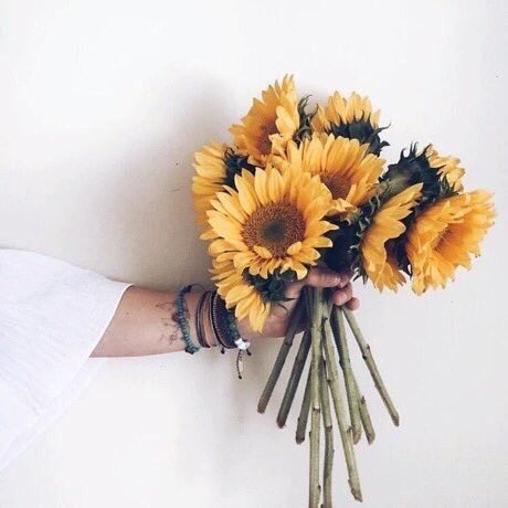 sunflowerlust's tweet photo. Sunflowers always brighten my day 😍🌻💕 https://t.co/6wOGQB4BoC