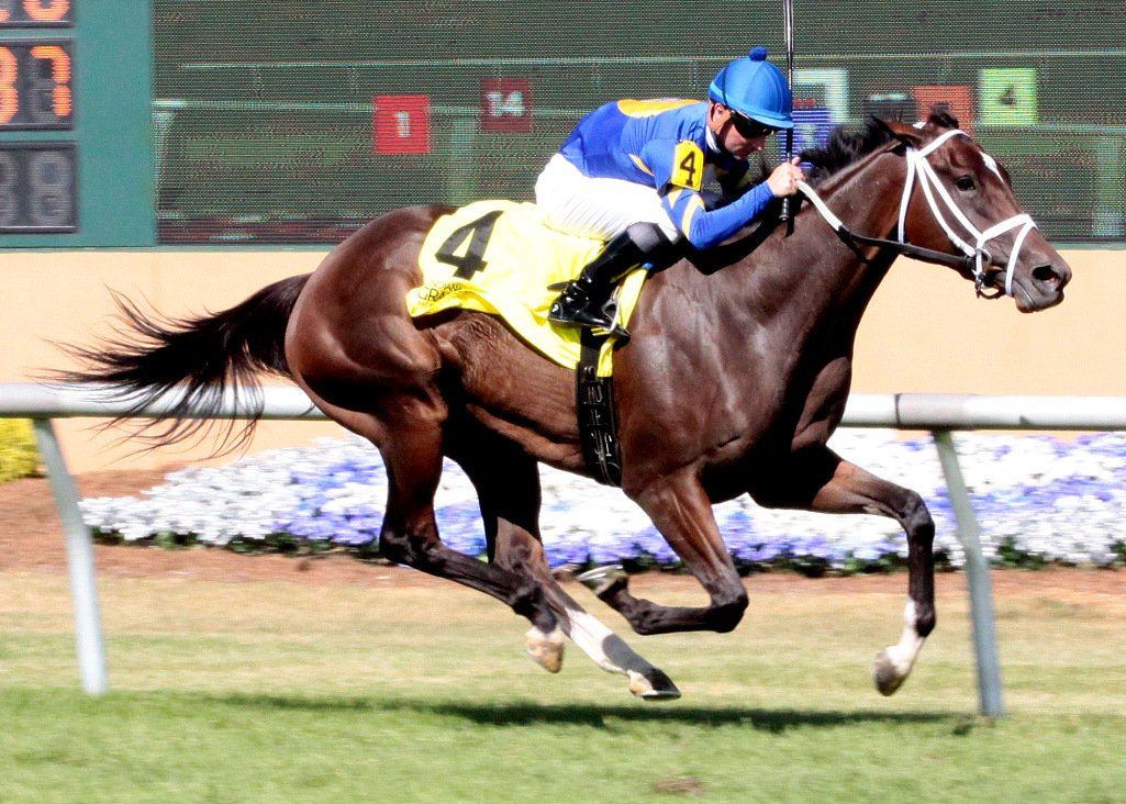 HSIndyTammy's tweet photo. Sirenusa and Adam Beschizza turn in an impressive effort in the $100K Ta Wee Stakes @IGRaceCourse Thursday, July 19 https://t.co/0Jbuo1ik2B @RacingRachelM @NancyUryHolthus @billdownes1 https://t.co/VbnTfq4BpV