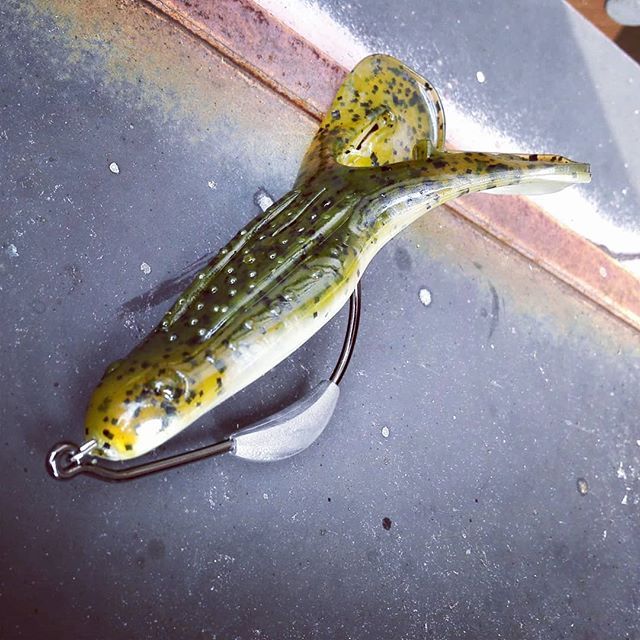 ken_d_s's tweet photo. レイジトードには、ウェイテッドフックがお勧めです… #ストライクキング #strikeking #ragetoad #バジンフロッグ #水噛みがハンパない #素材も丈夫 #テールのロックを解除するのをお忘れなく… https://t.co/e1VZdtzqkt https://t.co/o37S8Fz3zi