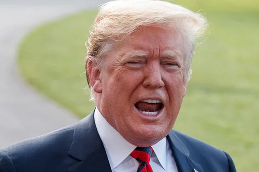 NancesWord's tweet photo. Word of the Day: IDIOT. Someone who is not smart. #IDIOT #IdiotInChief https://t.co/sL4RGfD6kg https://t.co/UzjvDqBTXE