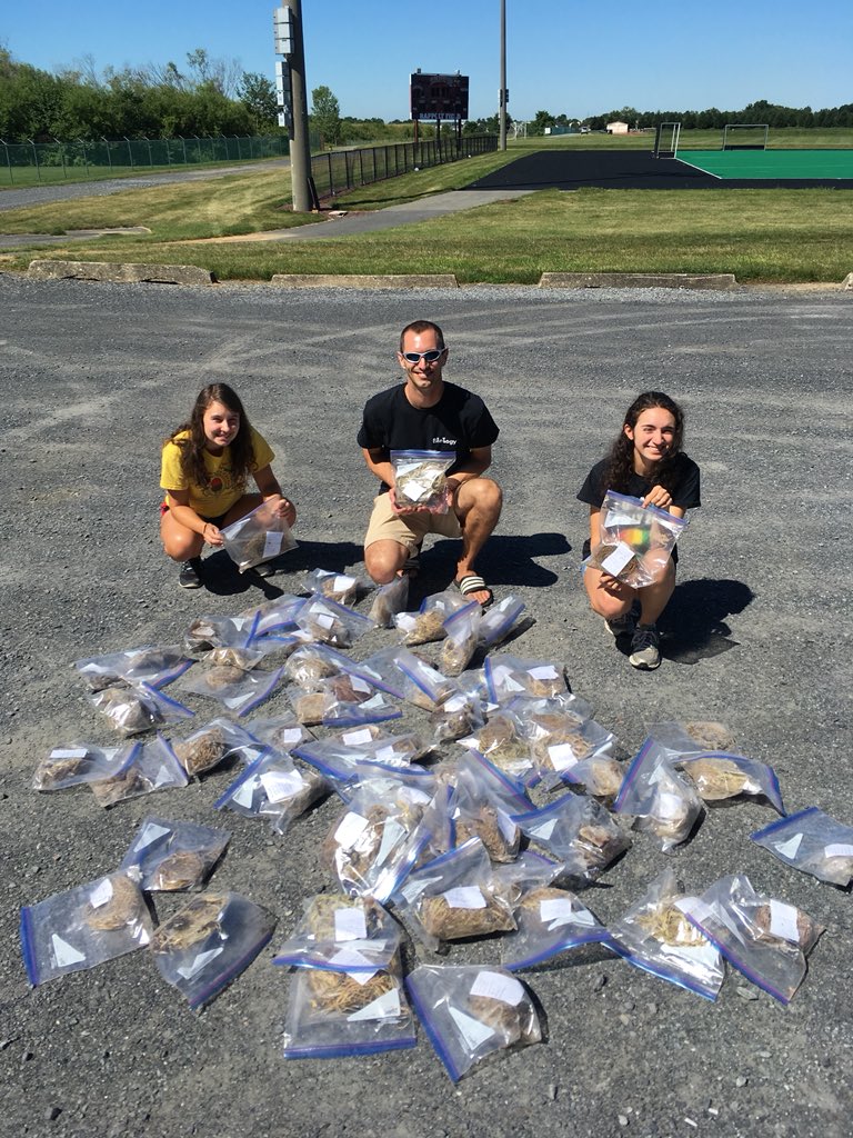 SarahKnutie's tweet image. GREAT FUN w/ @MWButler2 &amp;amp; @LafCol UGs Emma &amp;amp; Julianna!

Super cool work happening in the lab &amp;amp; I’m excited for future collabs! 🎉😎

Their crew collected this pot-o-gold of nests for the #NestParasiteStudy.

Are you a box-nesting bird landlord? Want to send me your nests? DM me!!