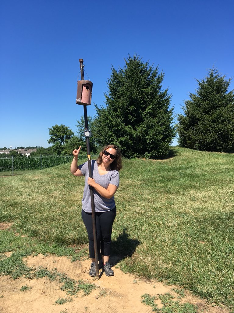 SarahKnutie's tweet image. GREAT FUN w/ @MWButler2 &amp;amp; @LafCol UGs Emma &amp;amp; Julianna!

Super cool work happening in the lab &amp;amp; I’m excited for future collabs! 🎉😎

Their crew collected this pot-o-gold of nests for the #NestParasiteStudy.

Are you a box-nesting bird landlord? Want to send me your nests? DM me!!