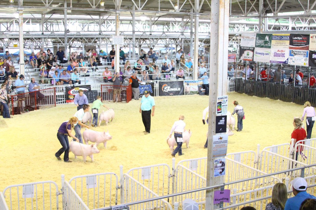 NationalSwine's tweet photo. The #NSR & #NJSA would like to sincerely thank everyone who attended #WPX18, #STC18 & #NJSS18. Your support for the swine industry and its young people does not go unnoticed. See you down the road at the next stock show! https://t.co/ATEBM5SlUn