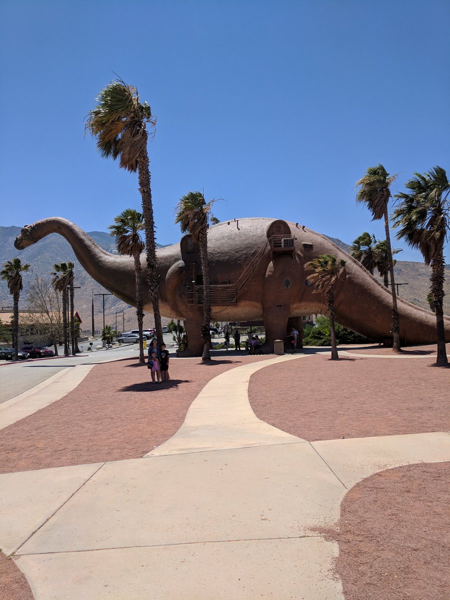 KLCamlin's tweet photo. Checking out the Dinosaurs #DolphinSelfieBingo https://t.co/Vi8VDRafdh