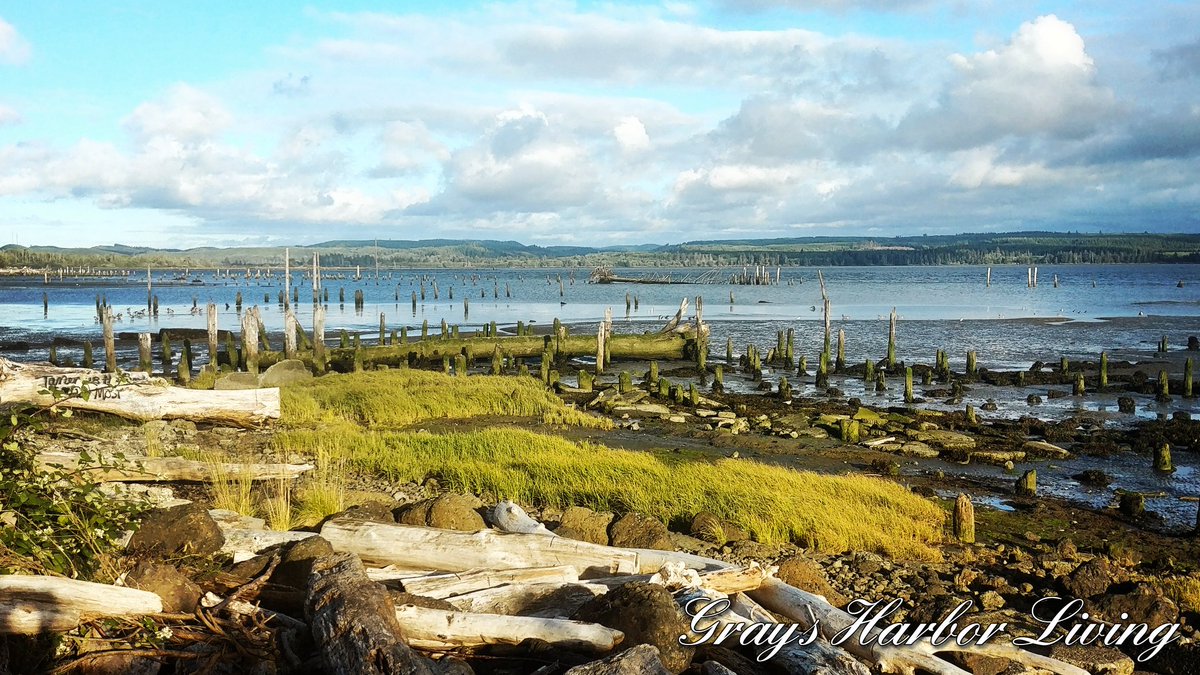 Grays Harbor living #GraysHarborLiving . . #GraysHarbor #GraysHarborCounty #OlympicPeninsula #pnw #Washington #WAnder #explorewa #k5summer #westernwashington #onlyinwashington #scenicWA #coastalwashington #kiro7 #washingtoncoast #cascadiaexplored