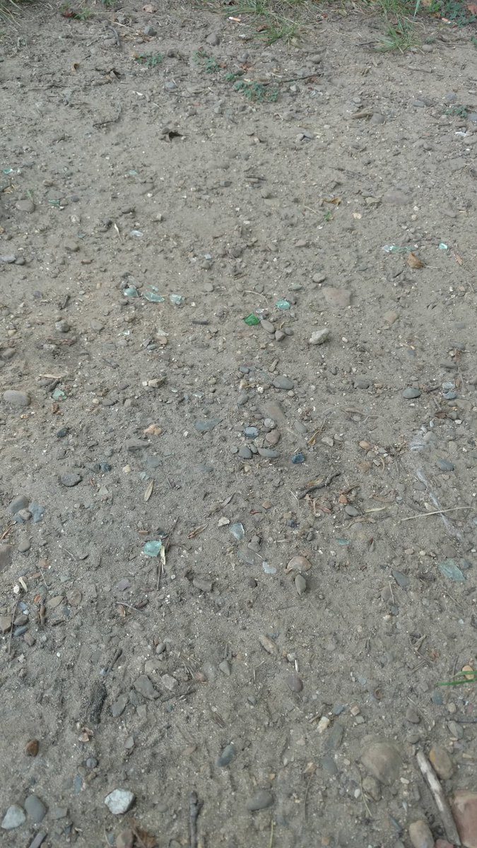 sarahlukens's tweet photo. Bed of broken glass by the shelter at wasena park @iROANOKE https://t.co/rmebls7pfl