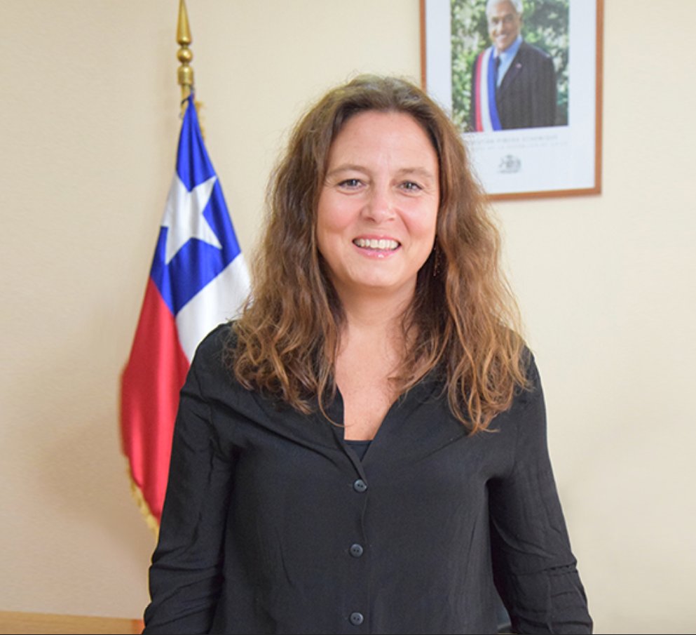 CEspinozaQ's tweet photo. María Teresa Browne, ex gobernadora de Biobío, responde al diputado José Pérez: "Me duele mucho que insinúe que una dueña de casa tiene menos capacidades. Es una falta de respeto para todas las mujeres". @Cooperativa https://t.co/OBzVX3eIP5